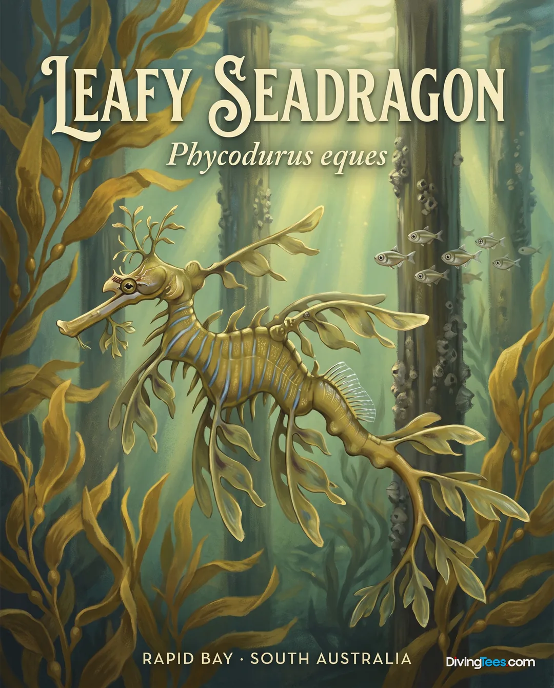 Leafy Seadragon