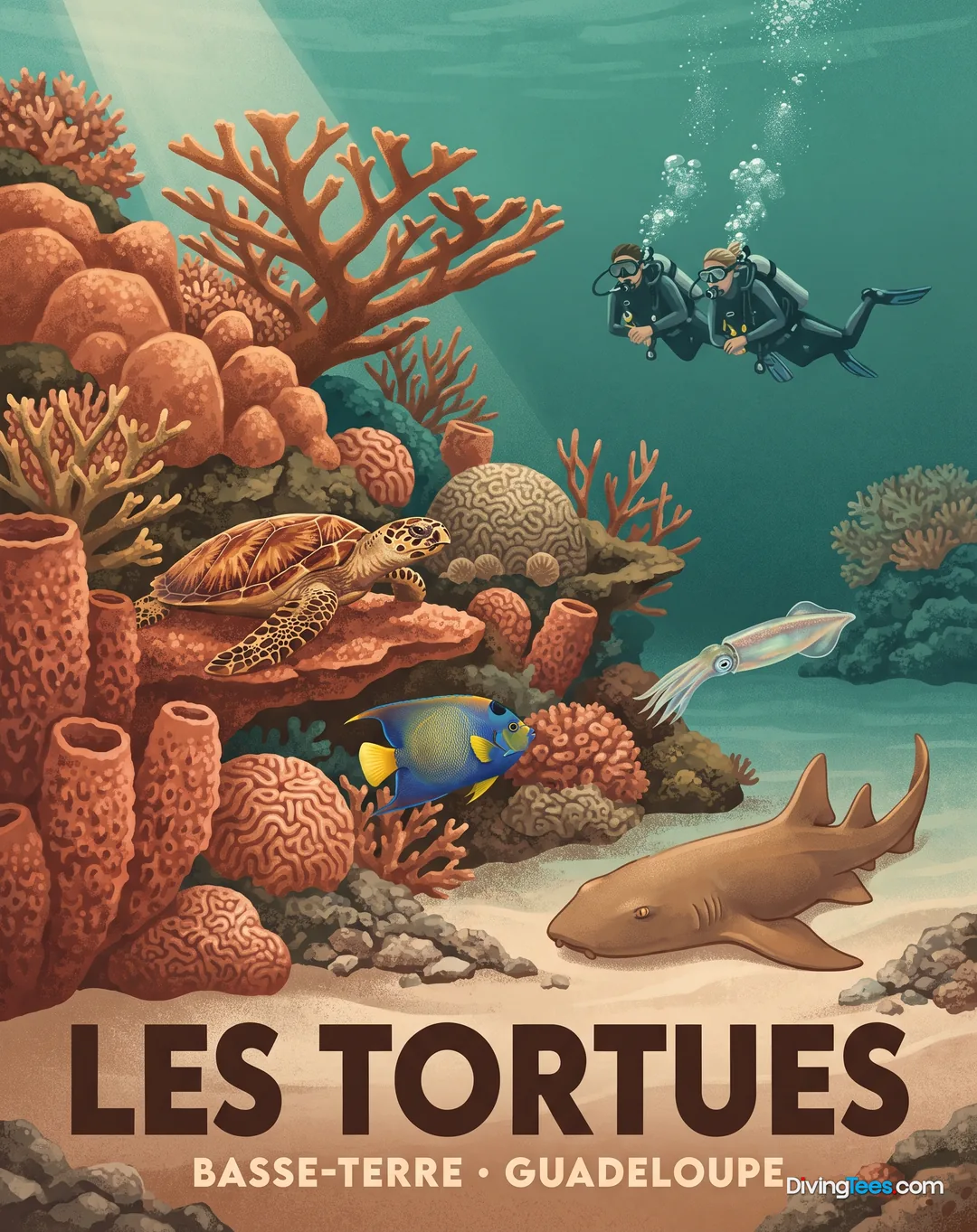Les Tortues