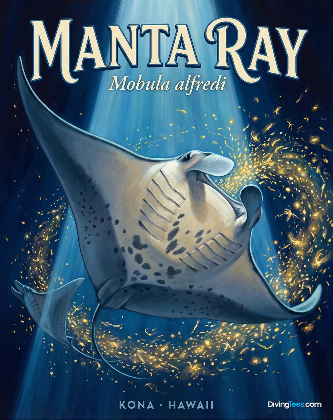 Manta Ray