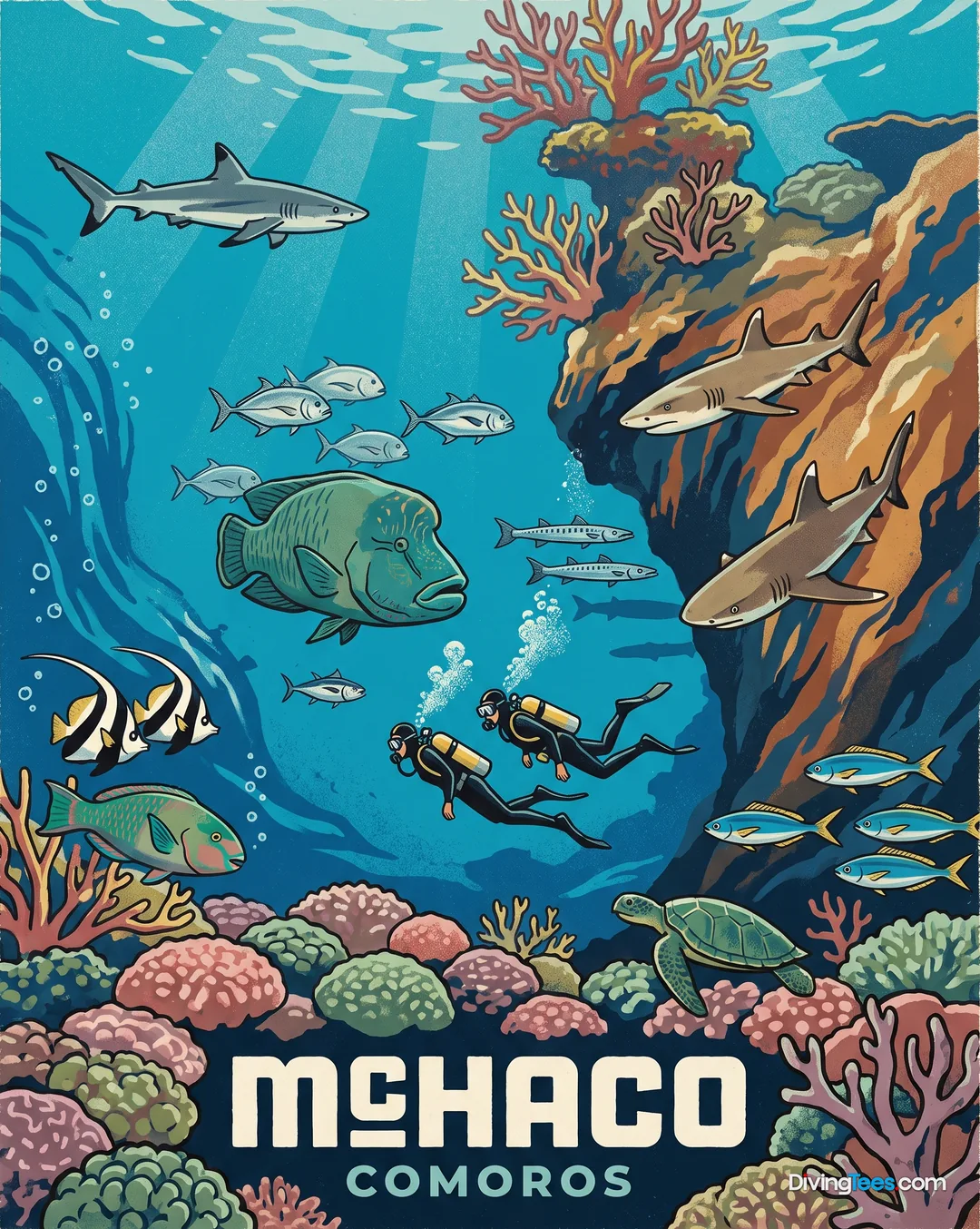 Mchaco, l’ile aux oiseaux