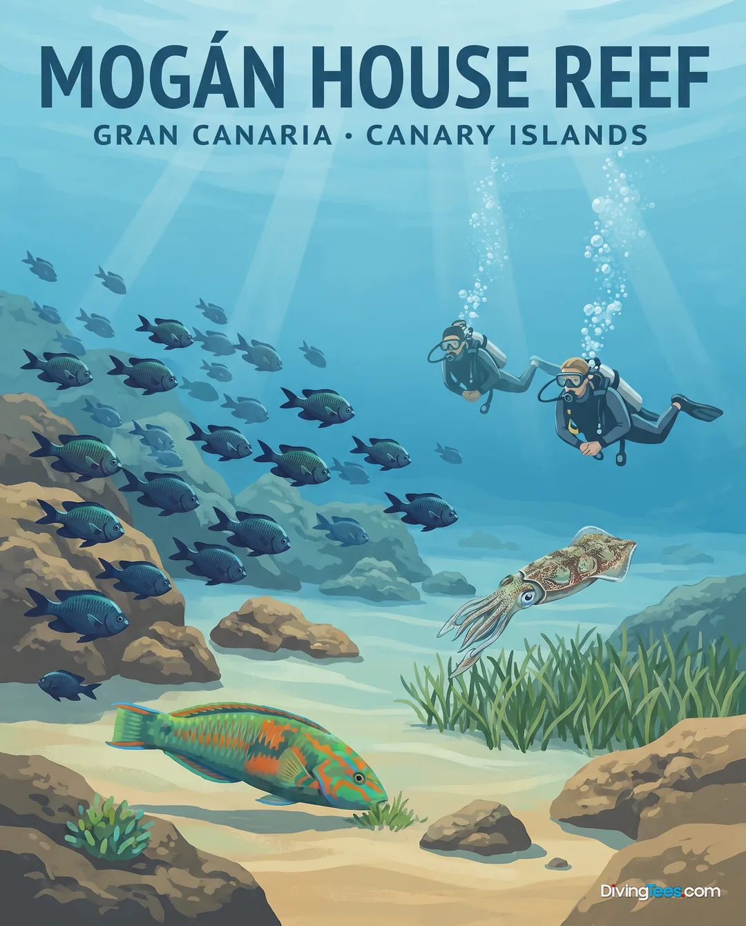 Mogán House Reef