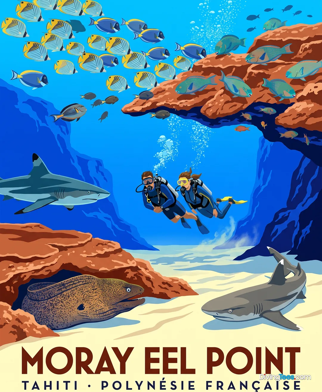 Moray Eel Point