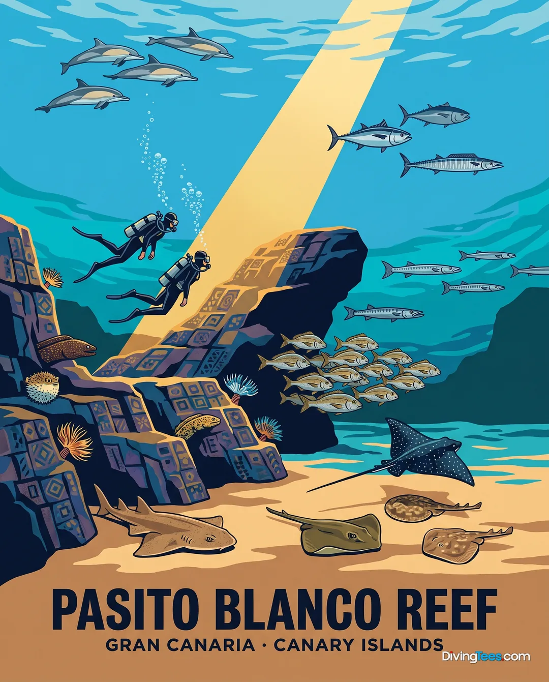 Affiche Pasito Blanco Reef Gran Canaria, Îles Canaries