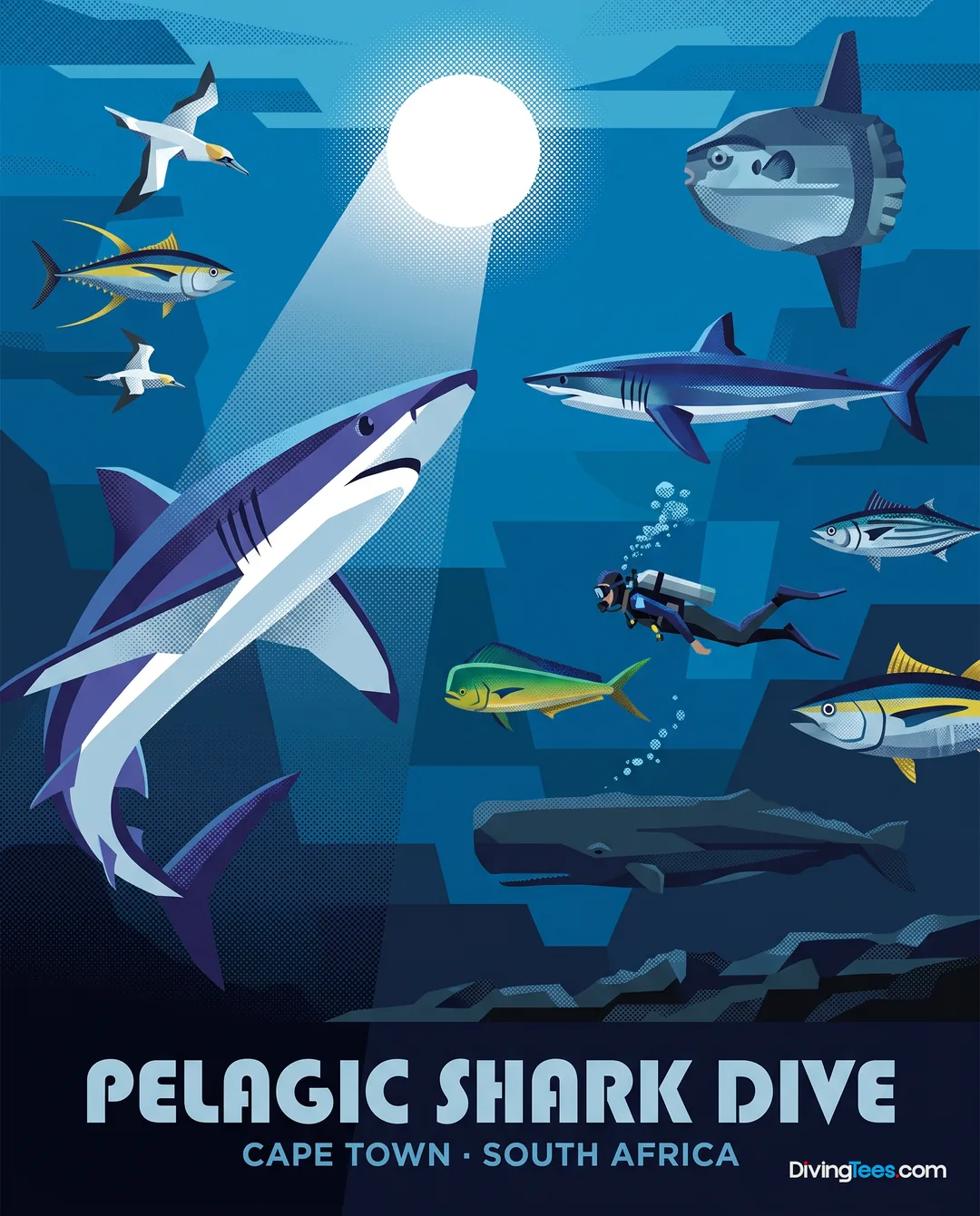 Pelagic Shark Dive