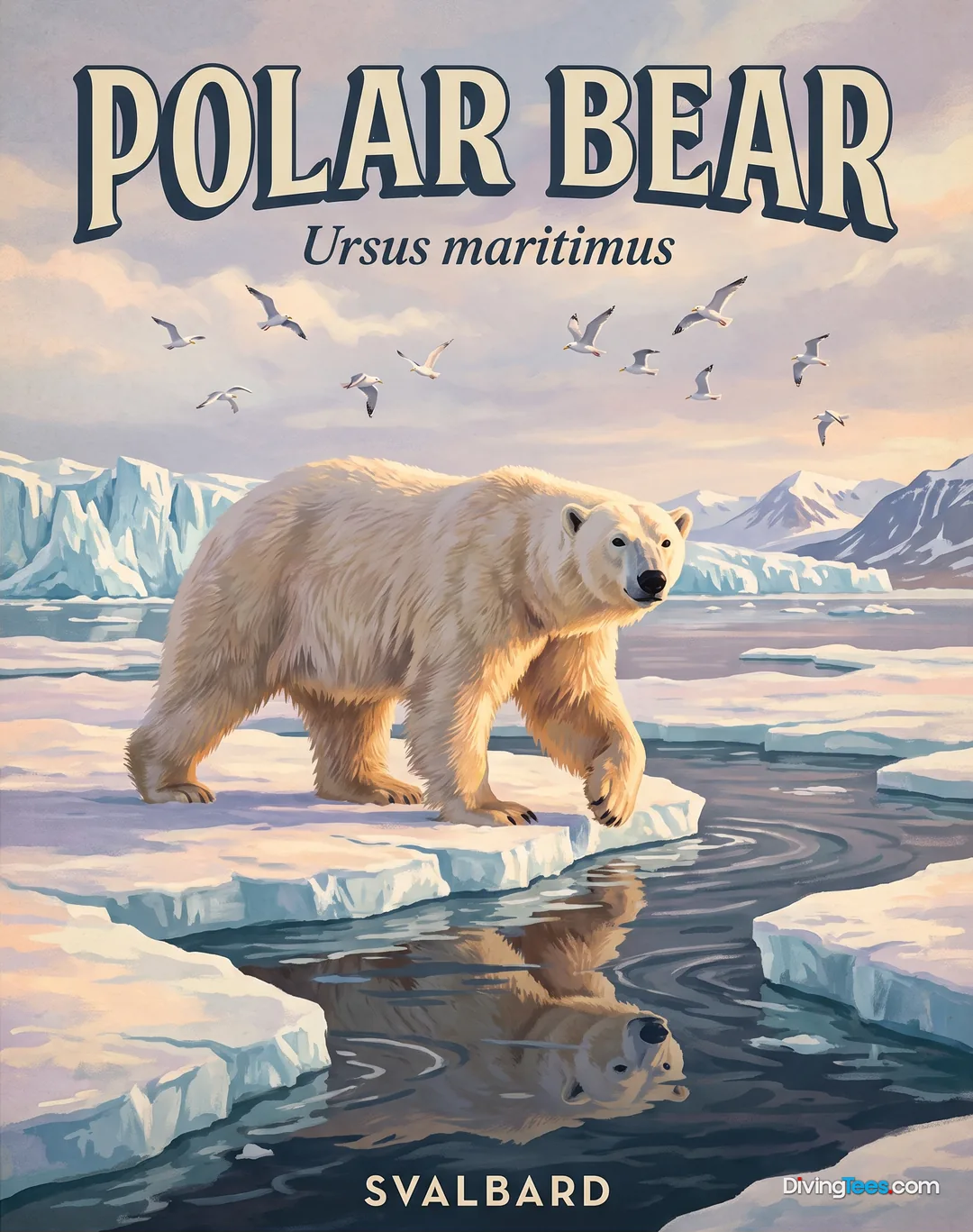 Polar Bear