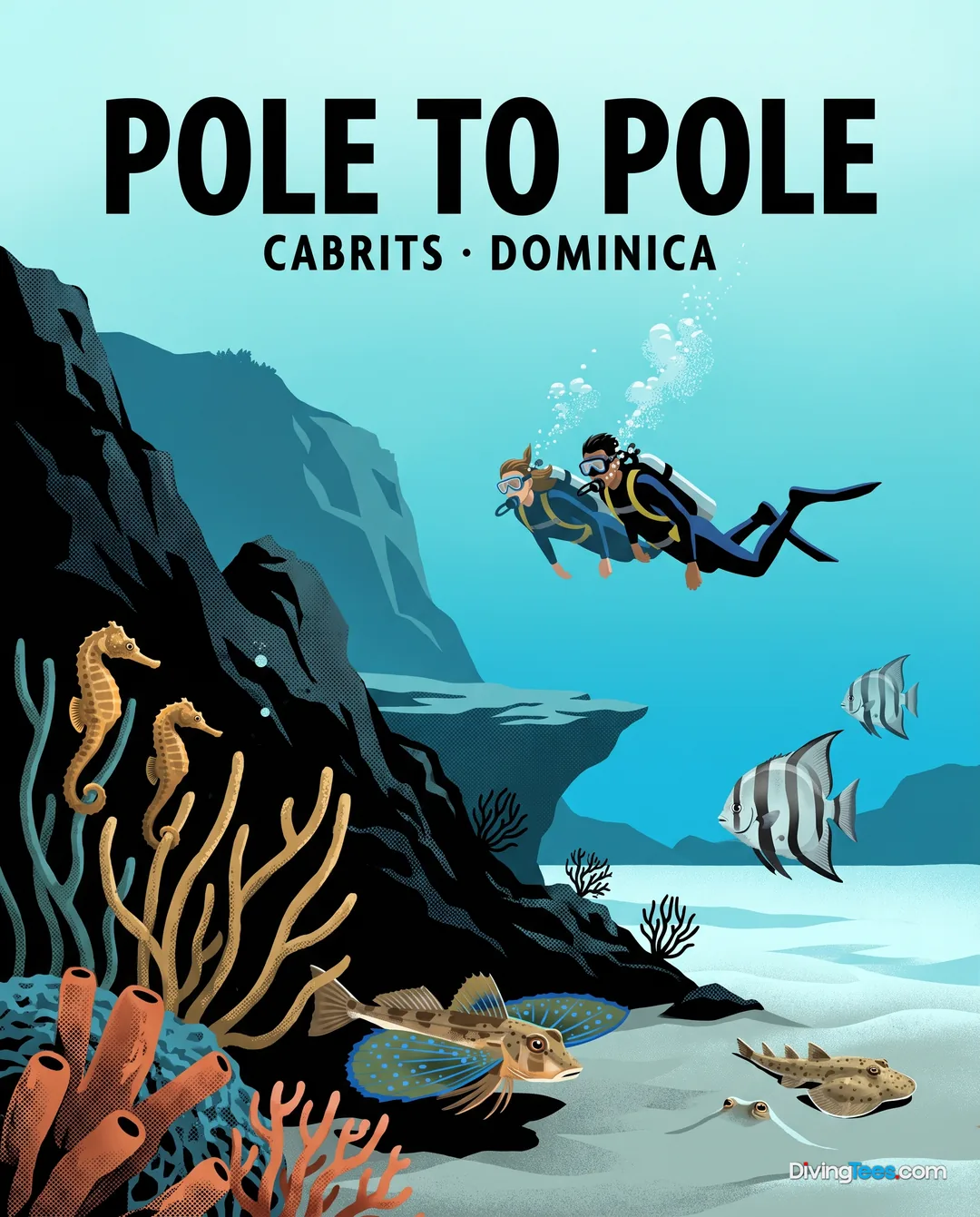 Pole to Pole