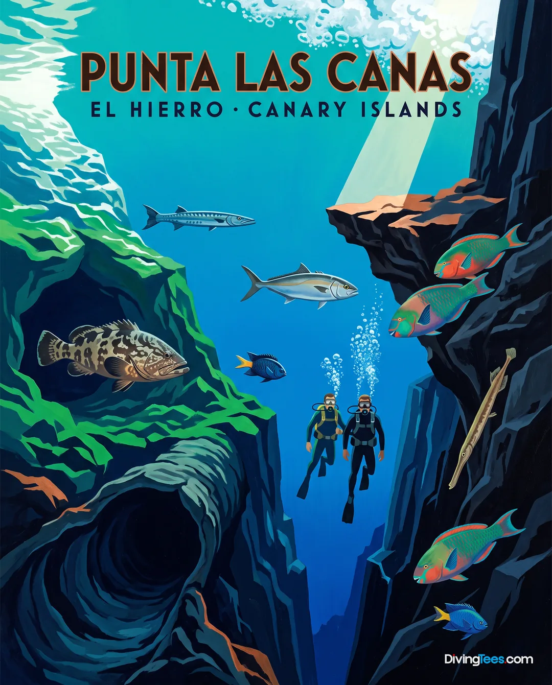Punta Las Canas