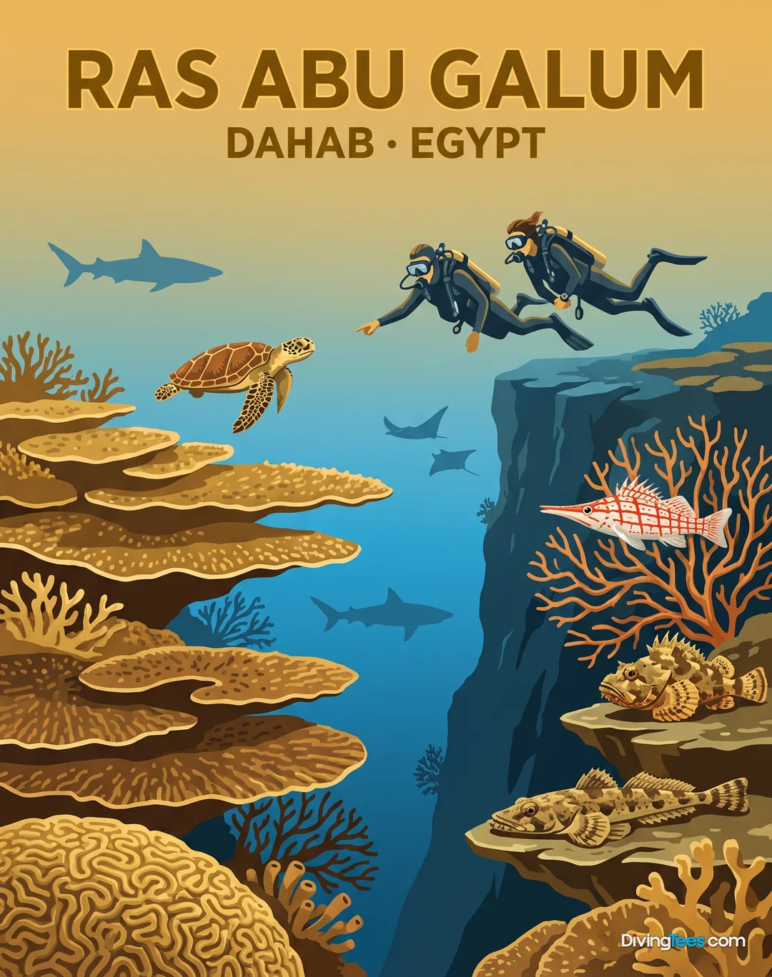 Affiche Ras Abu Galum Dahab, Egypt