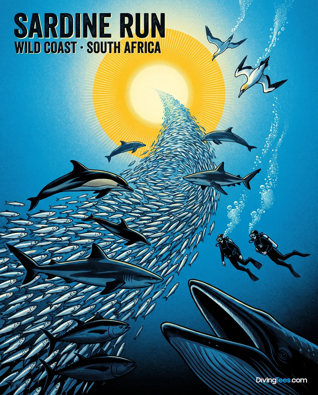 Sardine Run