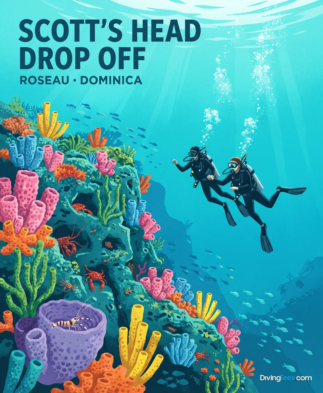 Scott’s Head Drop Off