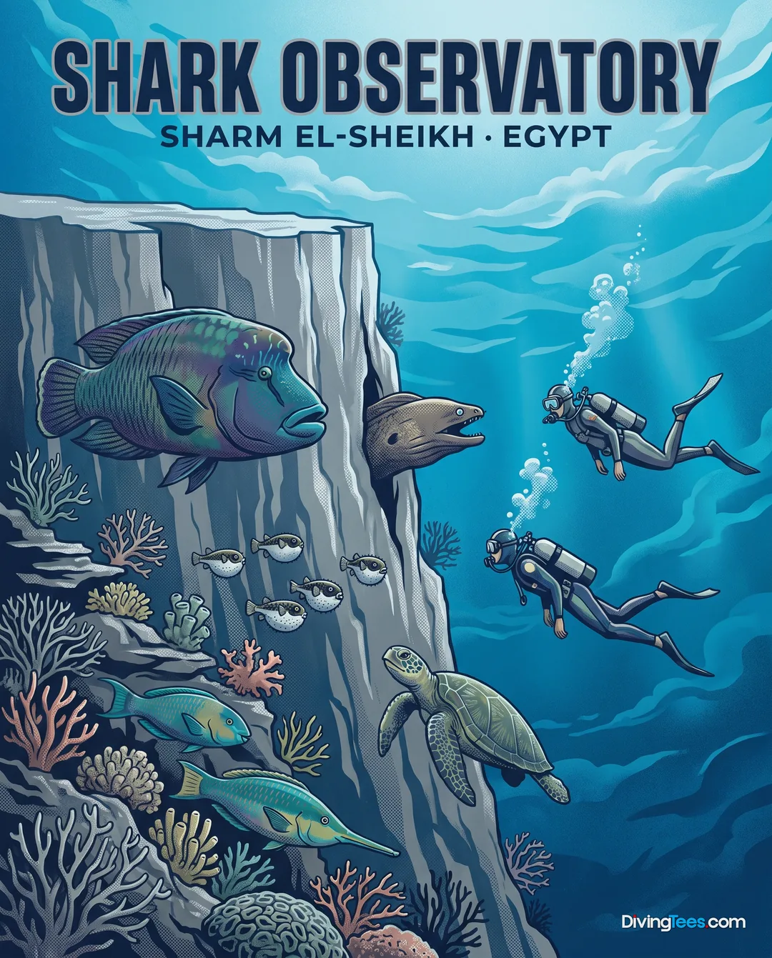 Shark Observatory