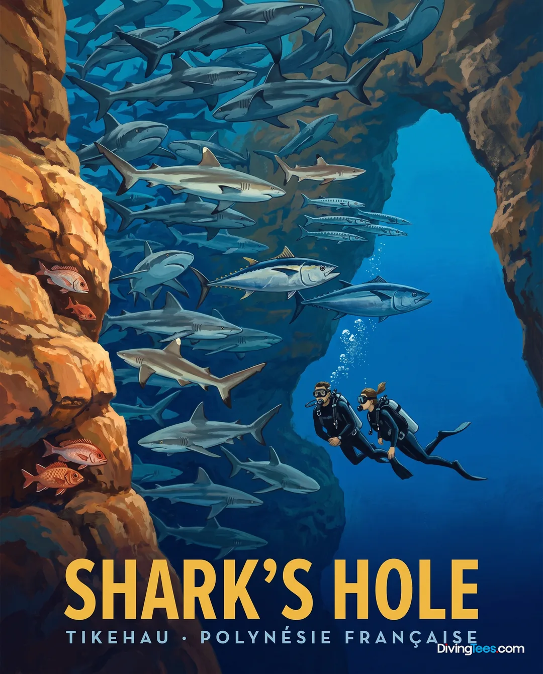 Shark's Hole