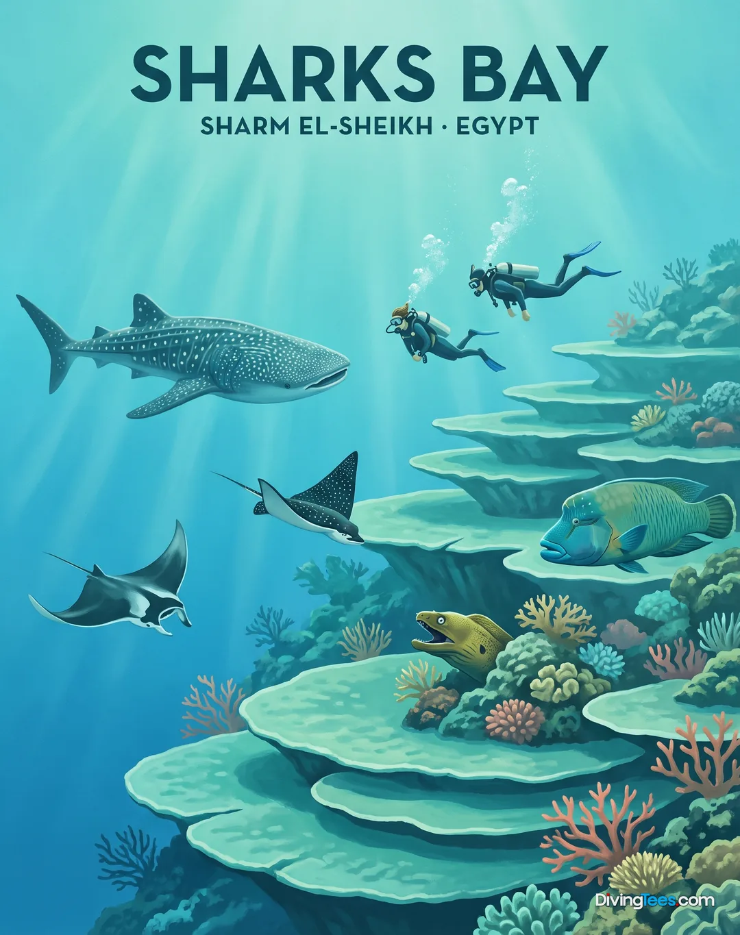 Sharks Bay
