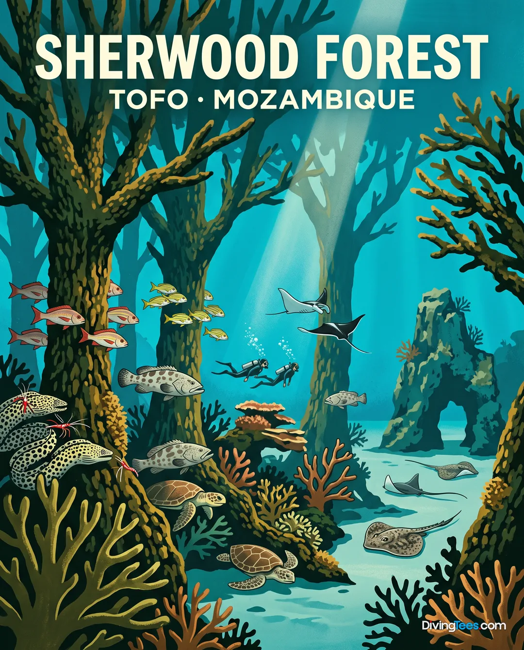 Sherwood Forest