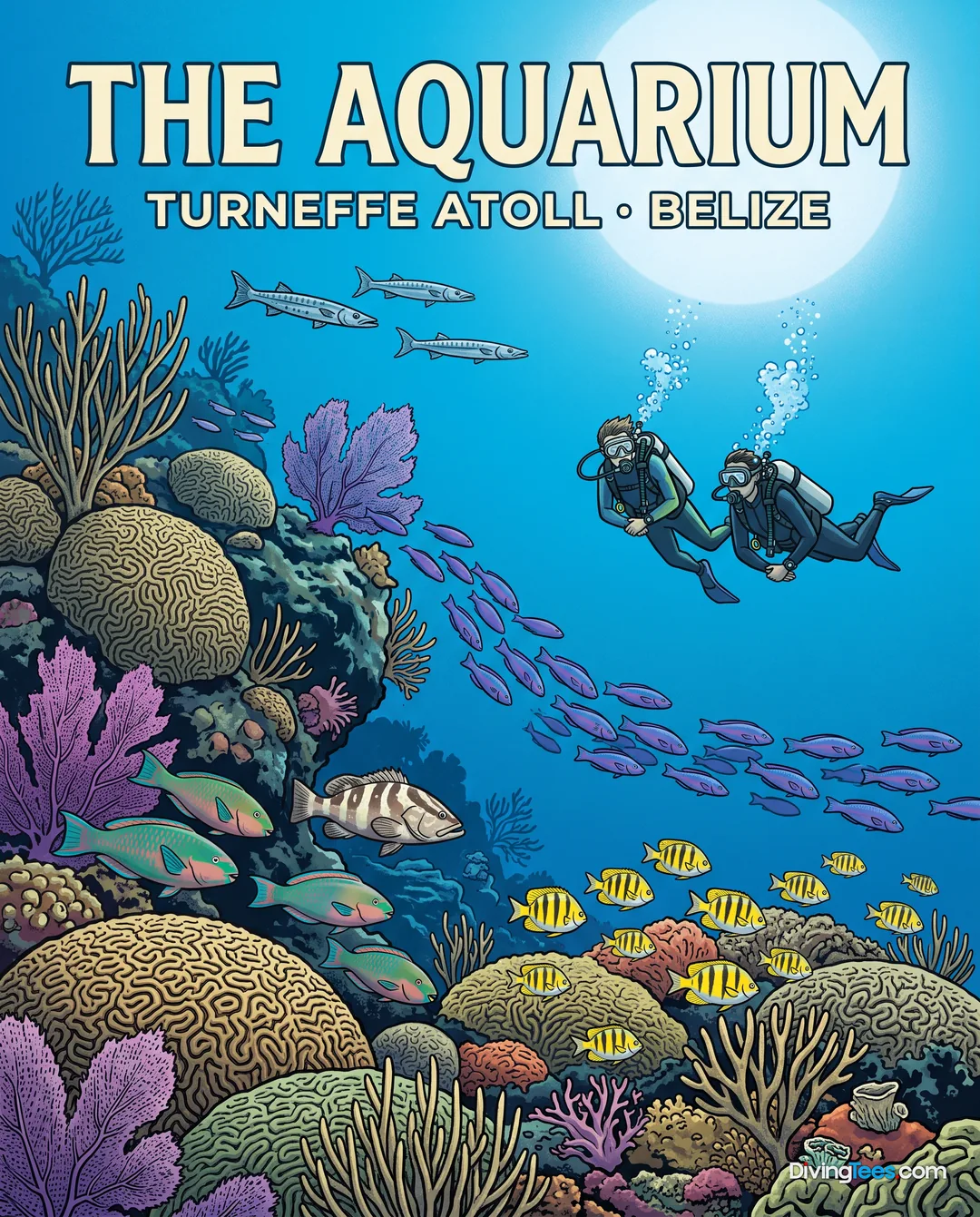The Aquarium