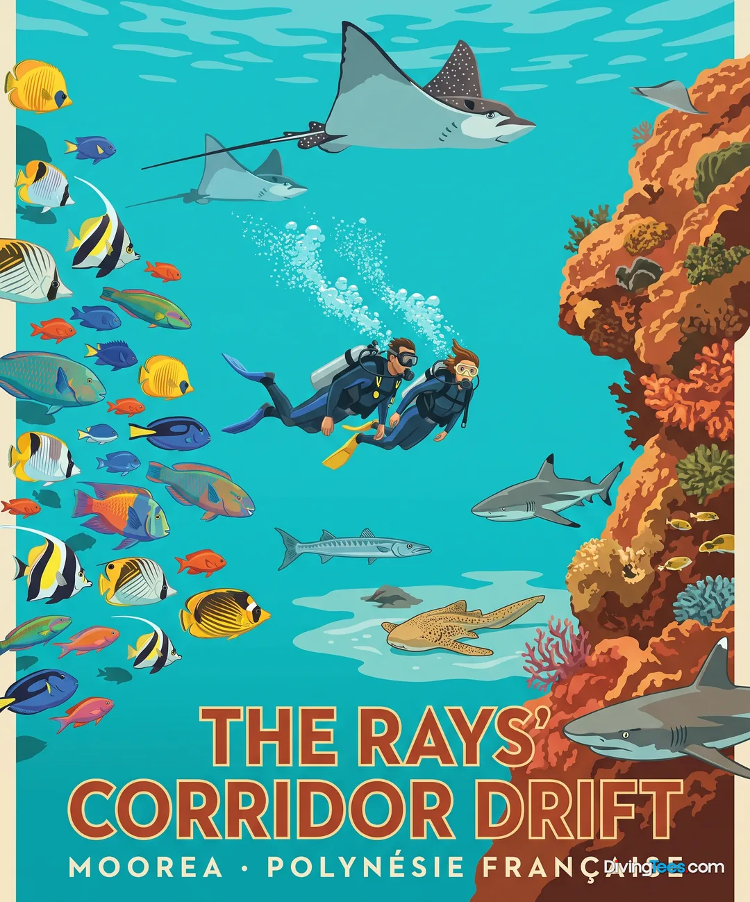 The Rays' Corridor Drift