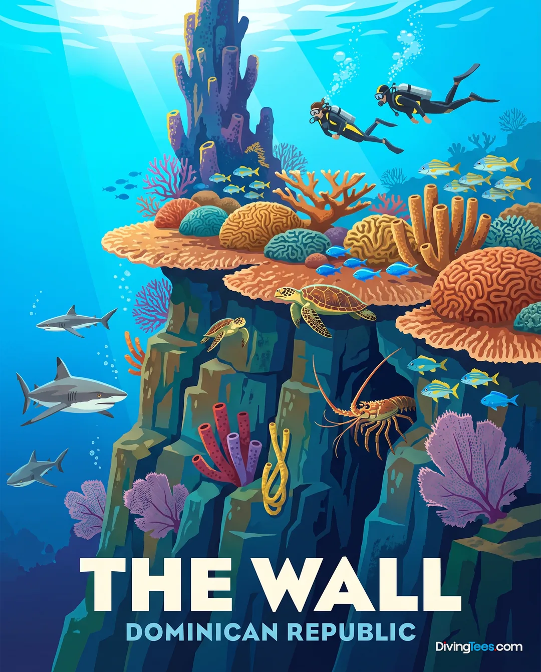 Catalina Wall