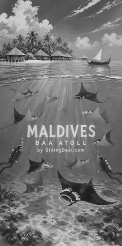 Fond d'écran plongée Maldives, illustration vintage. Disponible le dimanche 26 septembre 2027.