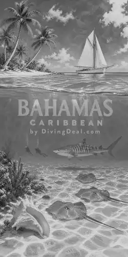Fond d'écran plongée Bahamas, illustration vintage. Disponible le dimanche 8 novembre 2026.
